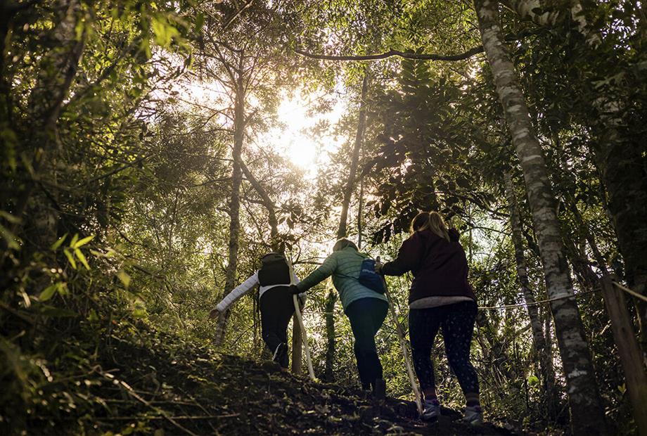 varshana-hotel---3 (1).jpg