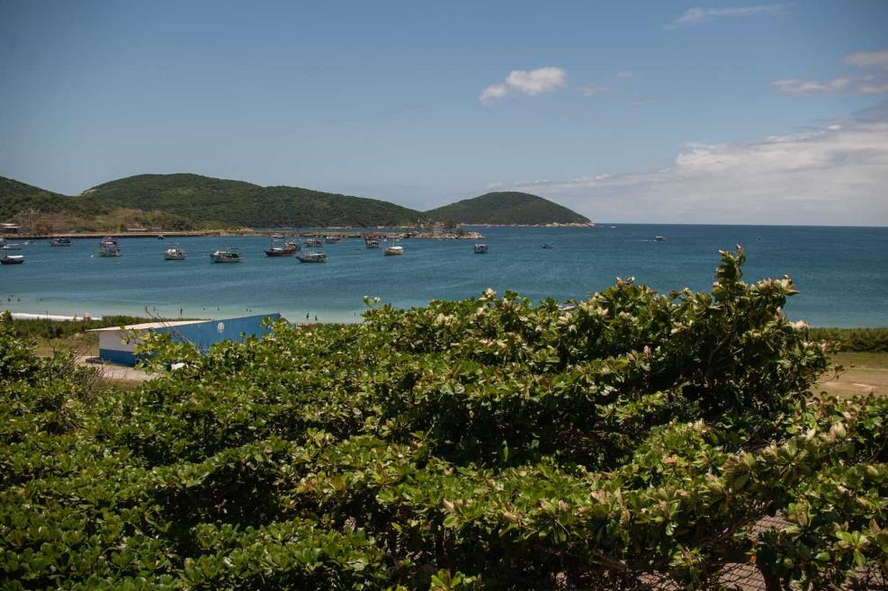 dsc_7345.jpg