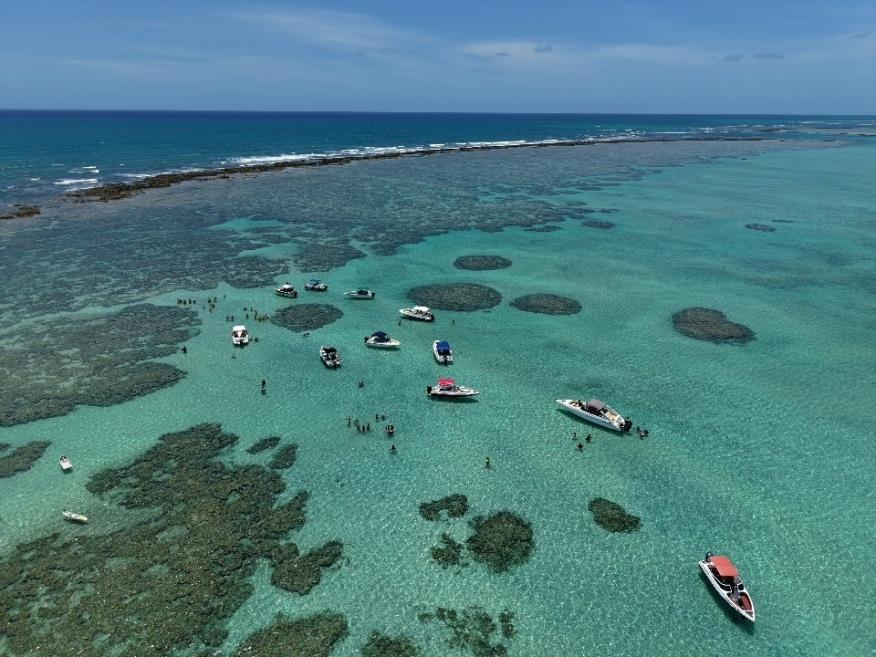 passeio-piscinas-naturais-maragogi.jpg
