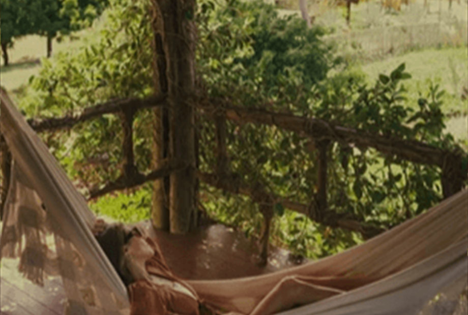 captura de tela 2025-06-24 102840.png