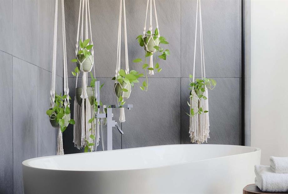 kmx-pdc1_paraisosuite_611_kayak owned_1.jpg