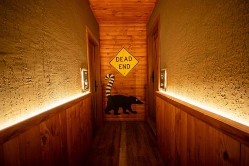 whatsapp image 2025-07-03 at 16.31.09 (10).jpeg