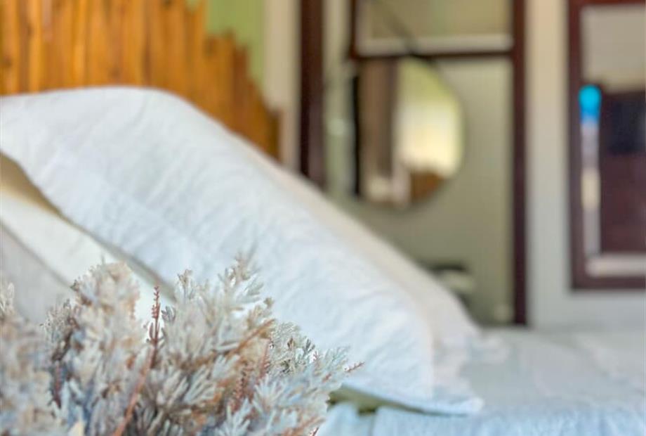 whatsapp image 2025-09-03 at 17.06.51 (2).jpeg