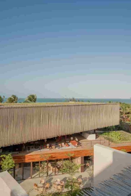 vista rooftop.jpg