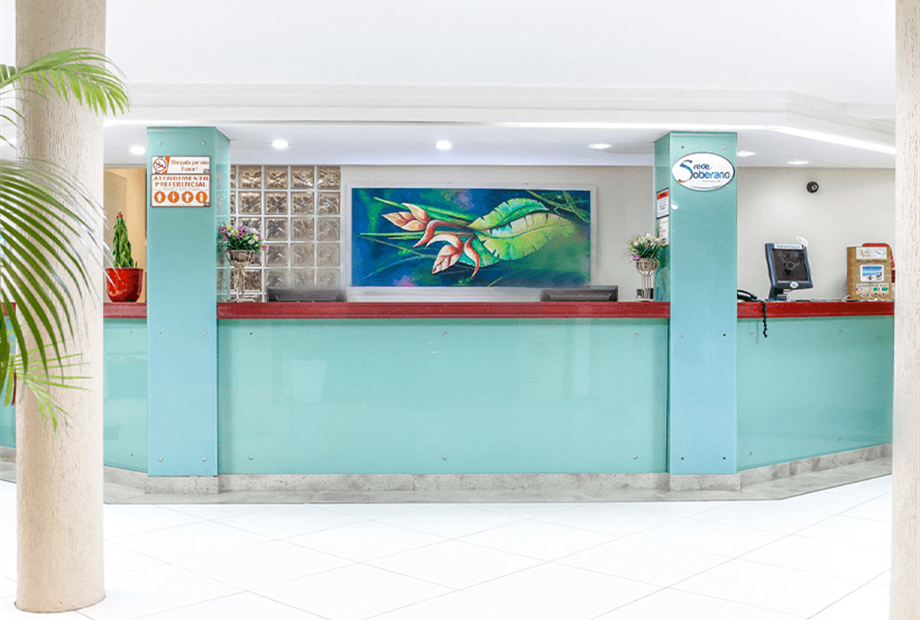 terra brasil - 001.png