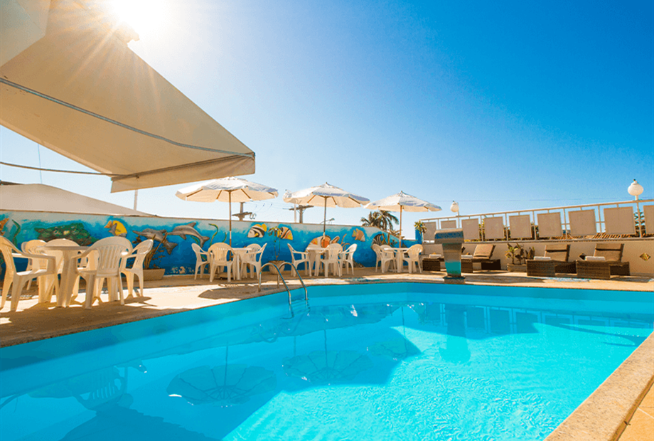 terra brasil - 005.png