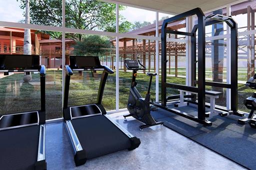 27 - hm -academia_r06.jpg