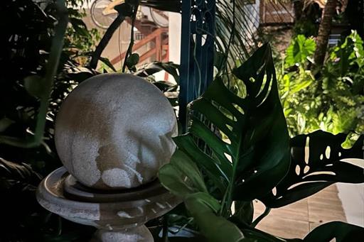 whatsapp image 2025-08-09 at 12.30.20 (4).jpeg