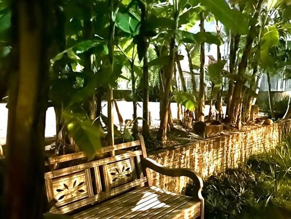 whatsapp image 2025-08-09 at 10.29.44 (2).jpeg