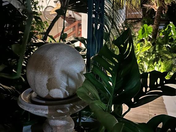 whatsapp image 2025-08-09 at 12.30.20 (4).jpeg