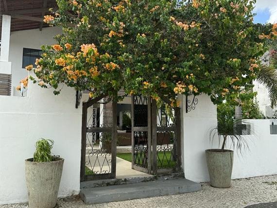 whatsapp image 2025-08-08 at 17.49.53 (5).jpeg