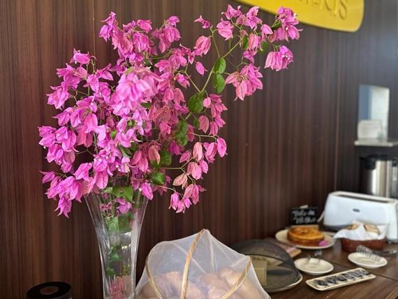 whatsapp image 2025-08-09 at 18.14.04 (1).jpeg