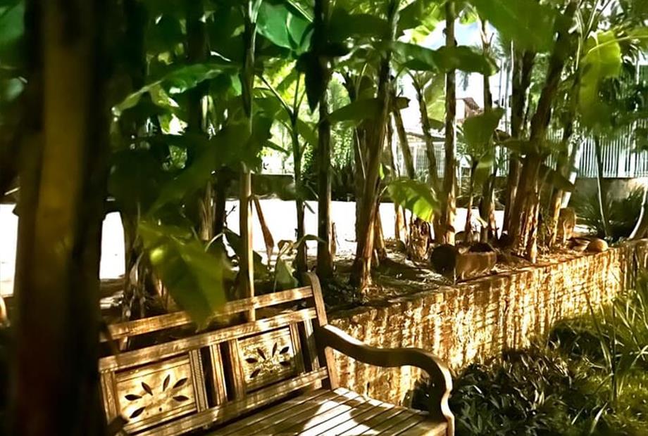 whatsapp image 2025-08-09 at 10.29.44 (2).jpeg