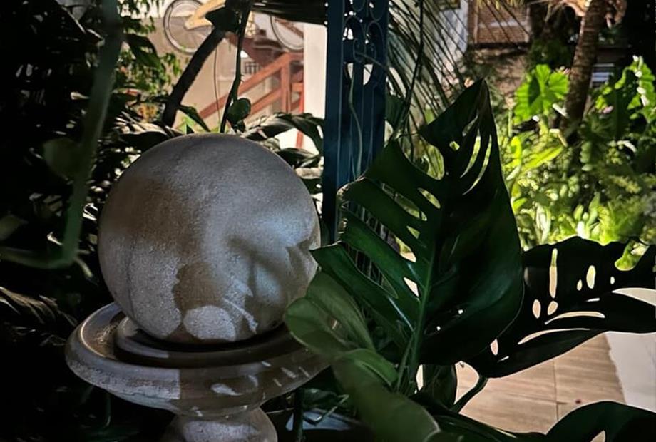 whatsapp image 2025-08-09 at 12.30.20 (4).jpeg