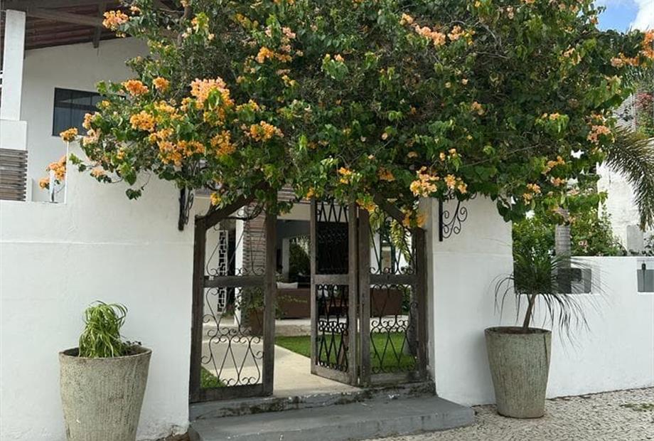 whatsapp image 2025-08-08 at 17.49.53 (5).jpeg