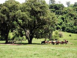 Estribo Hotel Estancia