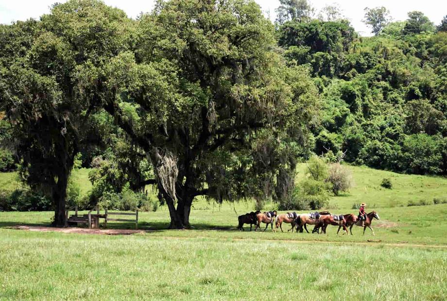 jsrc (7)_5_11zon.jpg