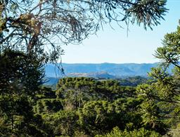Pousada Caminho das Araucarias