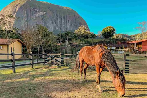 almoco mg (25))_11zon_11zon.jpg