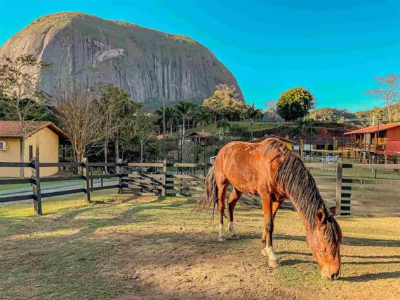 almoco mg (25))_11zon_11zon.jpg