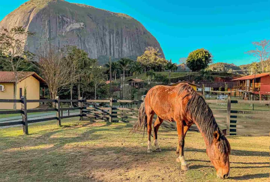 almoco mg (25))_11zon_11zon.jpg