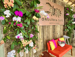 Orquidea Cafe
