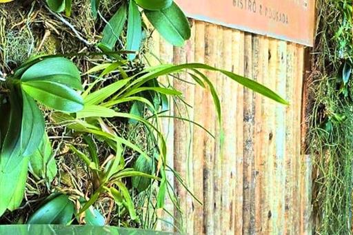 cópia de fotor_1744646842837.jpg