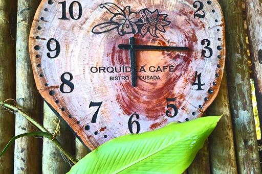 cópia de fotor_1744646202150.jpg