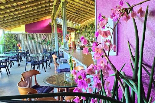 cópia de fotor_1744647560854.jpg