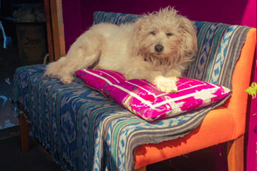 captura de tela 2025-08-18 172052.png