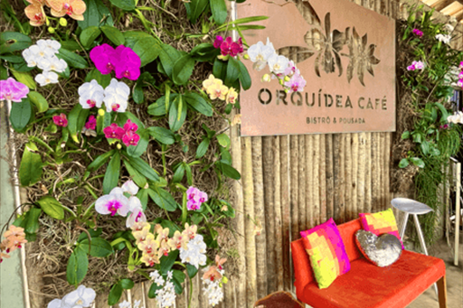 captura de tela 2025-08-18 173157.png