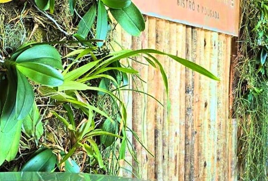 cópia de fotor_1744646842837.jpg