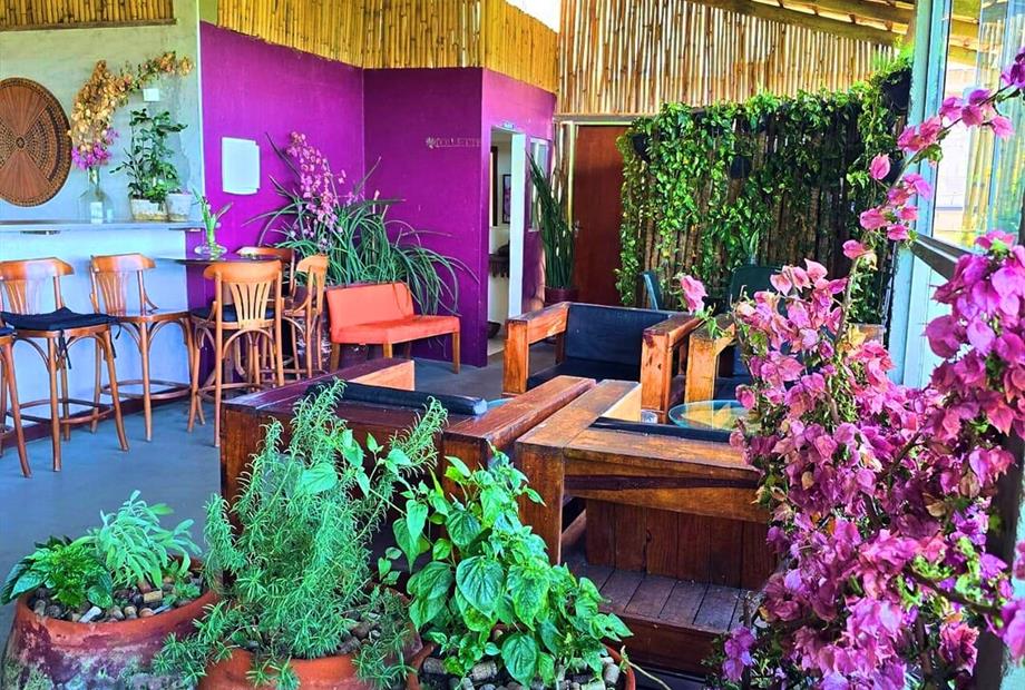 cópia de fotor_1744648014388.jpg