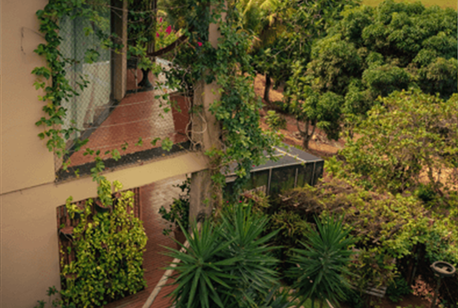 captura de tela 2025-08-18 172035.png