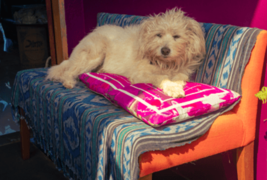 captura de tela 2025-08-18 172052.png