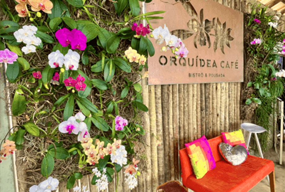 captura de tela 2025-08-18 173157.png