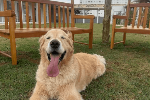 captura de tela 2025-10-30 112259.png