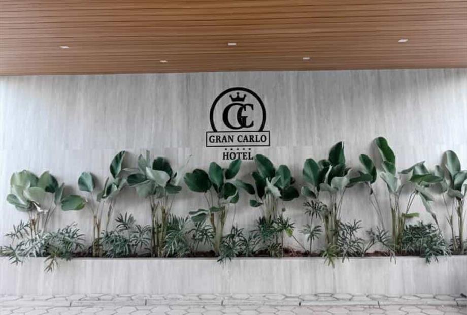 whatsapp image 2025-09-29 at 22.24.15.jpeg