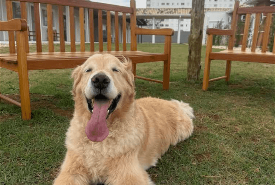 captura de tela 2025-10-30 112259.png