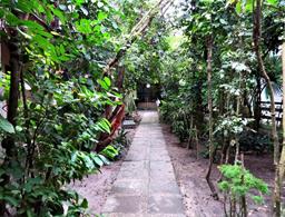 Pousada Coqueiro do Caita