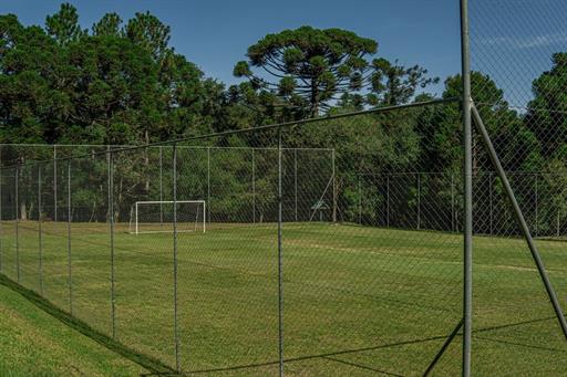 dsc06283 grande.jpeg