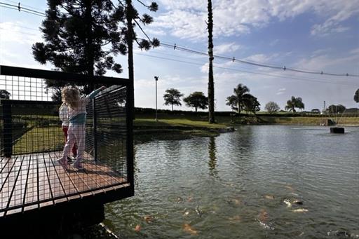 img_0066 grande.jpeg