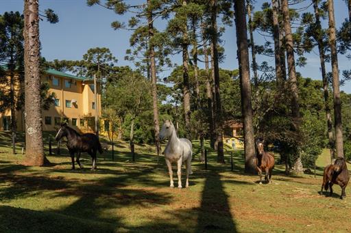 dsc06406 grande.jpeg