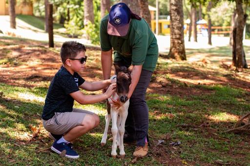 img_8831 grande.jpeg