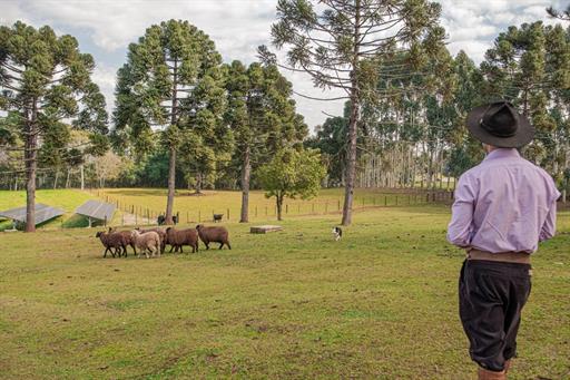 dsc06040 grande.jpeg