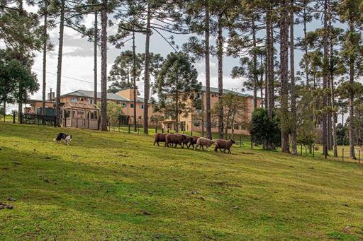 dsc06073 grande.jpeg