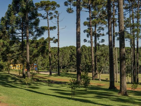 dsc06339 grande.jpeg