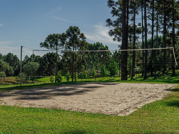 dsc06257 grande.jpeg