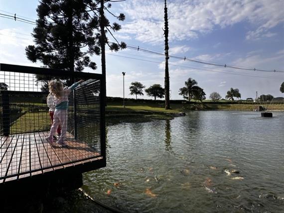 img_0066 grande.jpeg