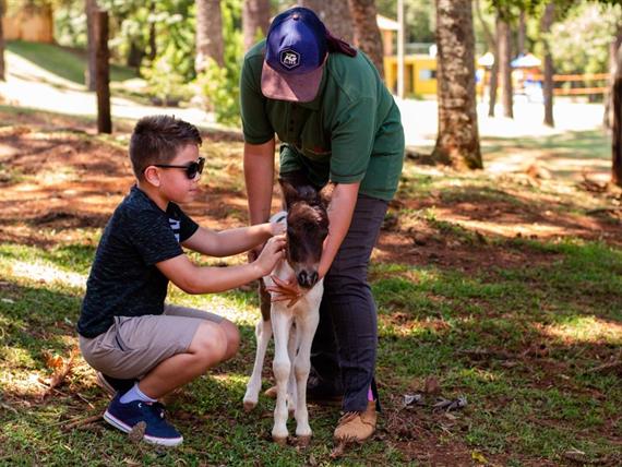 img_8831 grande.jpeg